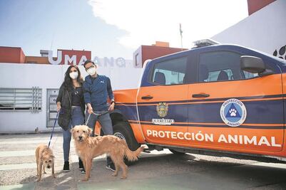 Bruna ya tiene familia. Sus adoptantes vinieron desde Guadalajara, tras conocer el caso en redes sociales