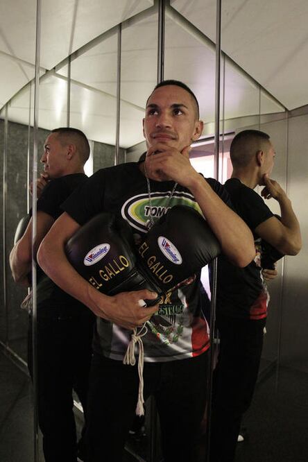 Para ídolo hay que ser ‘Gallo’