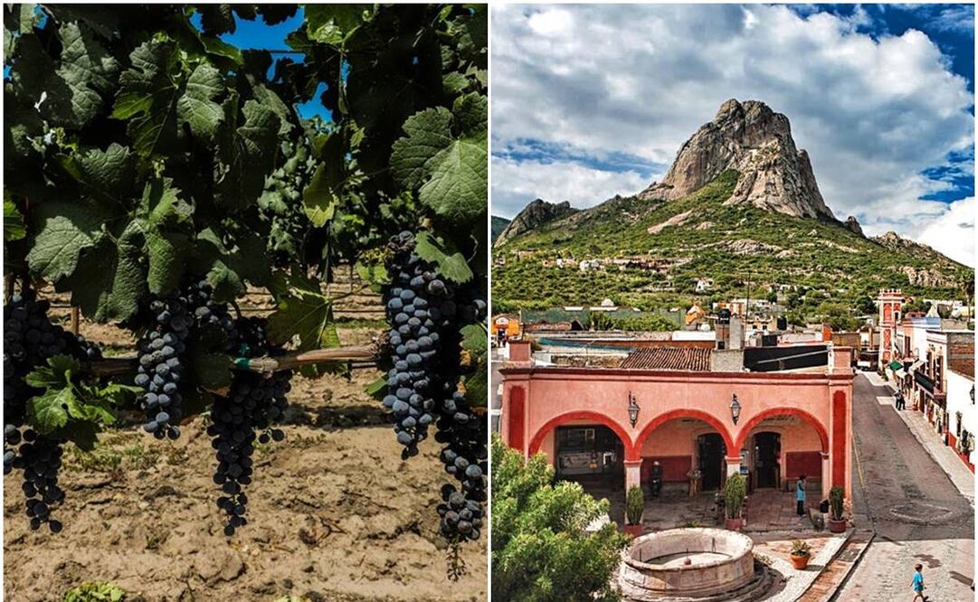 4 viñedos para conocer en Querétaro cerca de la Peña de Bernal. Foto: Especial