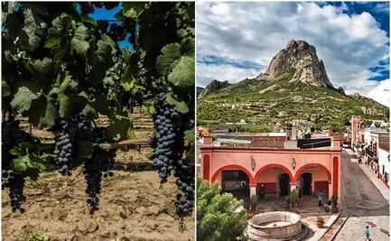 4 viñedos para conocer en Querétaro cerca de la Peña de Bernal