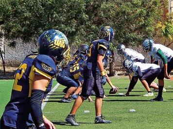 Miden fuerzas Gatos Salvajes y Patriotas