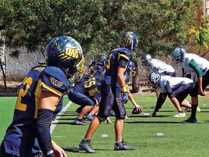 Miden fuerzas Gatos Salvajes y Patriotas