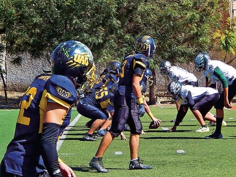 Miden fuerzas Gatos Salvajes y Patriotas