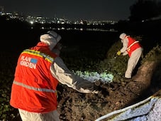 Concluyen acciones profundas de limpieza del Parque Querétaro 2000