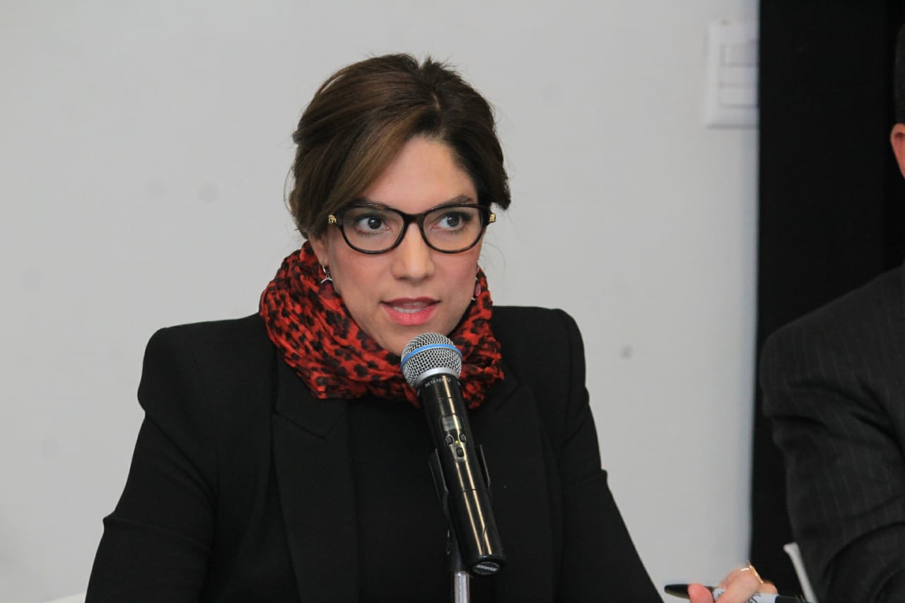 “Necesario fomentar el uso de la bicicleta y el transporte público en las ciudades”: Romy Rojas.