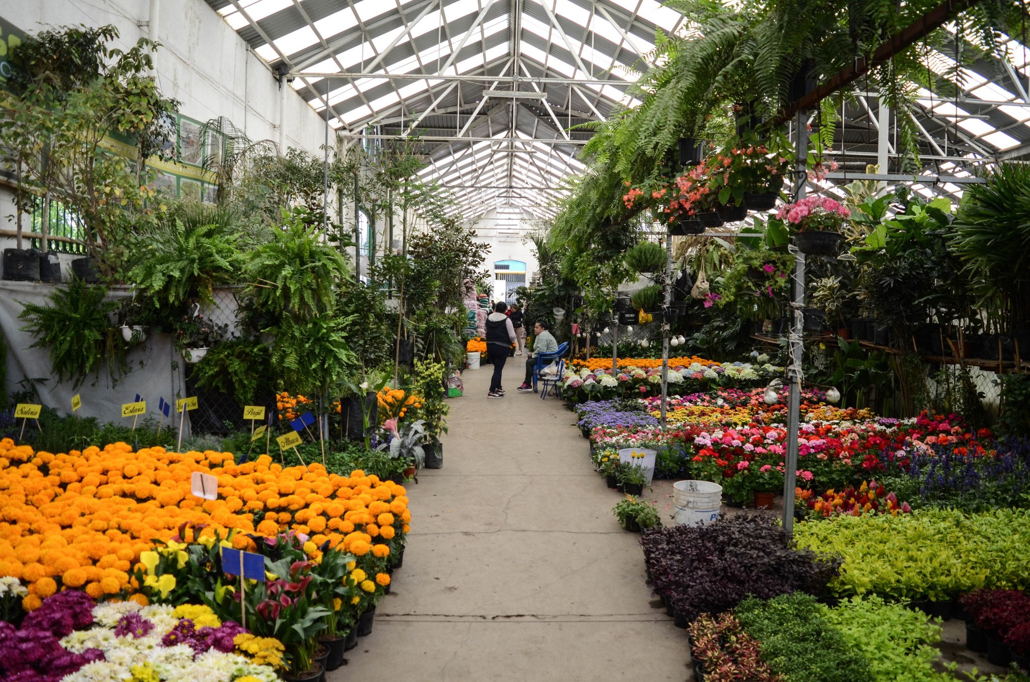 Pega informalidad al Mercado de las Flores