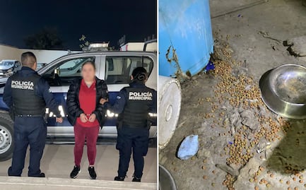 Detienen a mujer por descuidar a sus lomitos; se hallaban sucios y sin alimento