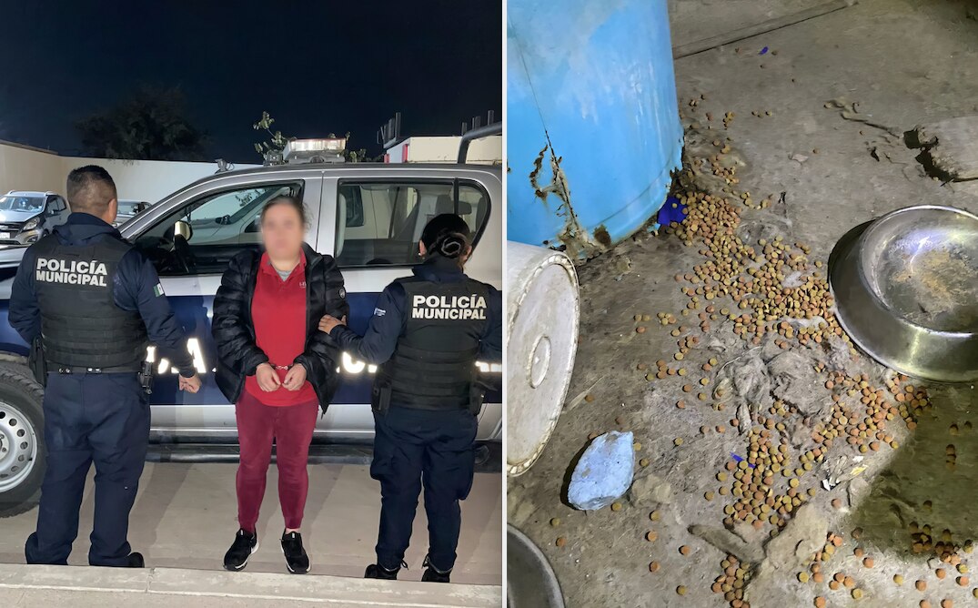 Detienen a mujer por descuidar a sus lomitos; se hallaban sucios y sin alimento