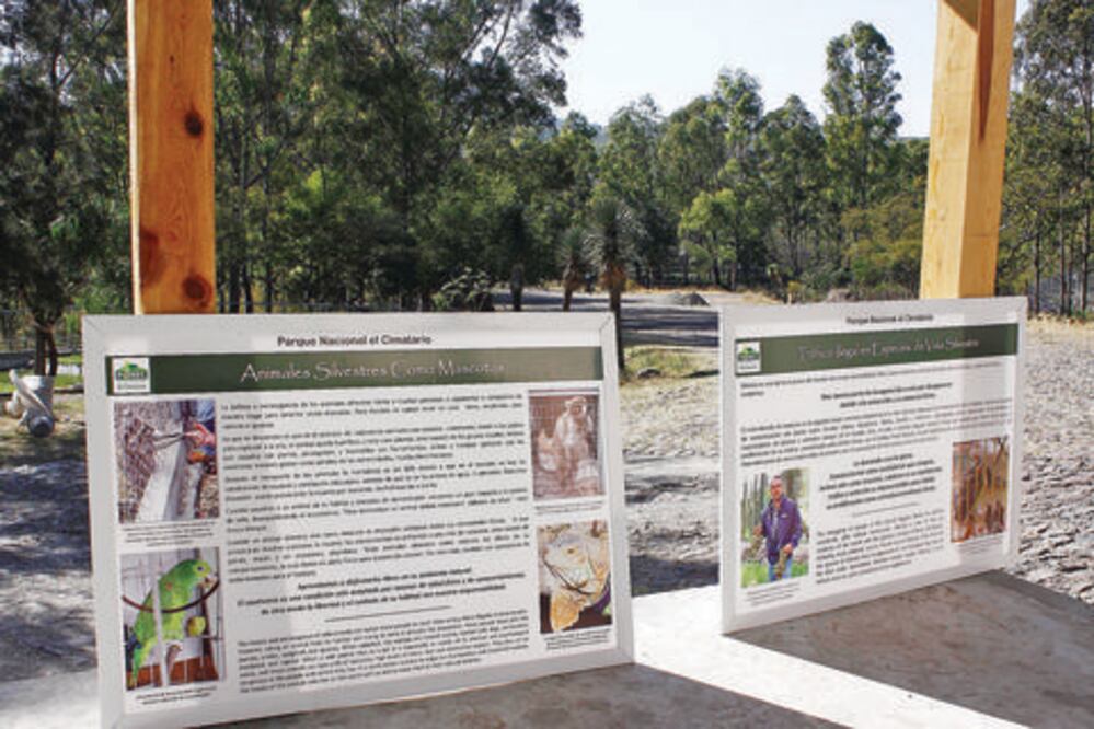 Ambientalistas defienden El Cimatario