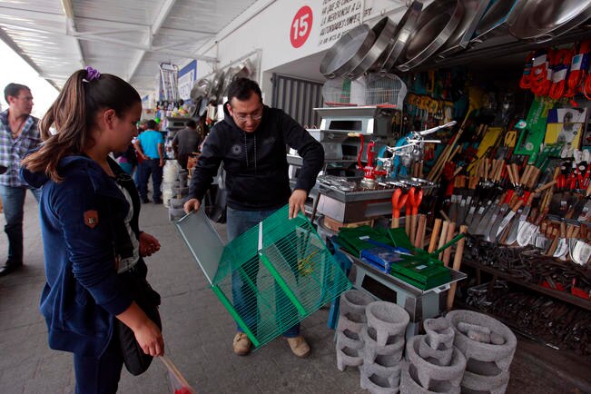 Una mujer observa una jaula para poder adquirirla, el comercio redondo en algunos mercados del estado continúa. La gente adquiere los animales, alimentos y instrumentos de limpieza o cuidado en la misma zona del mercado. (CESAR GÓMEZ. EL UNIVERSAL)