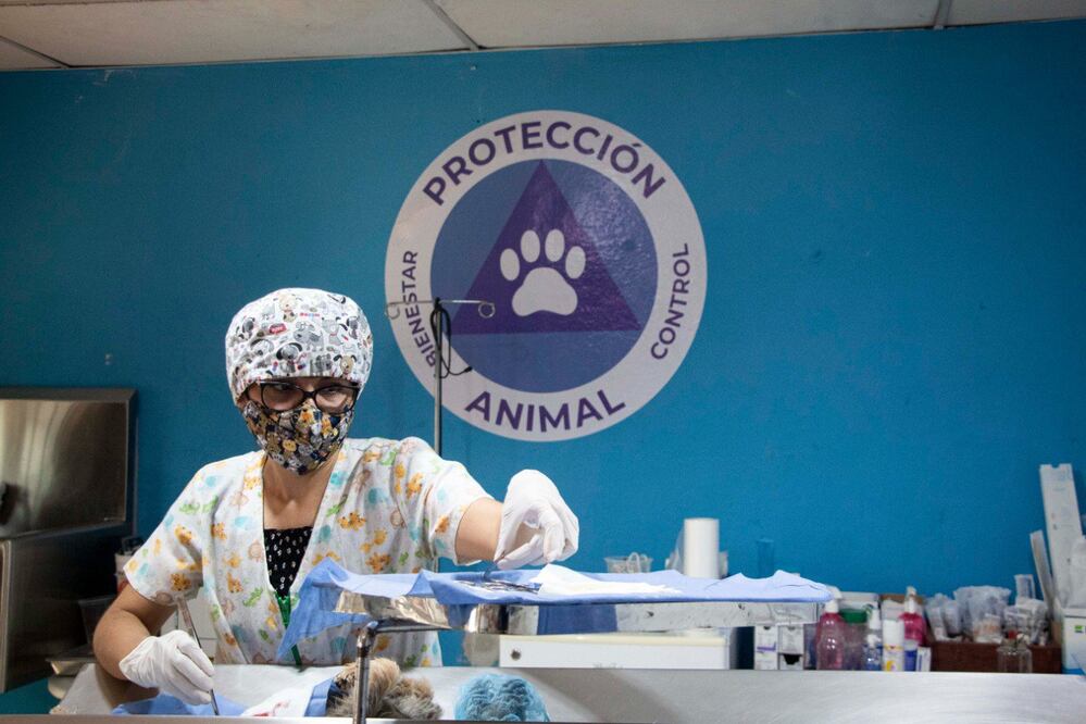 Foto: Facebook Servicios Públicos Municipales de Querétaro