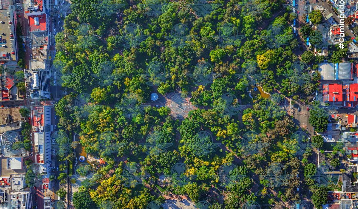 Foto: Ángel González