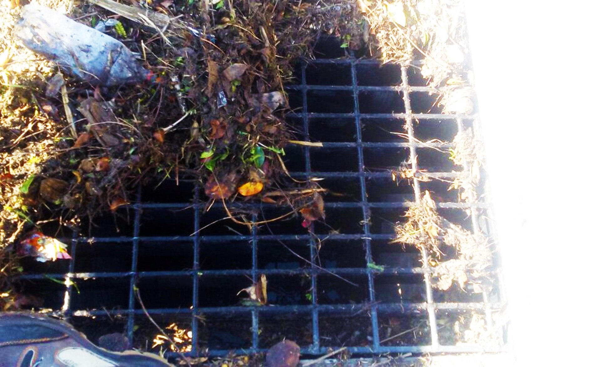 Foto: ARCHIVO. EL UNIVERSAL