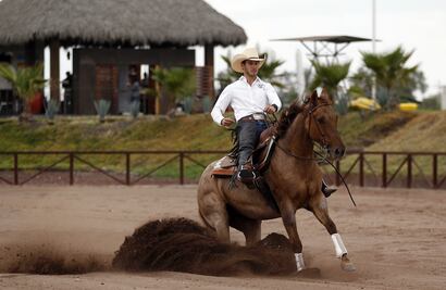 Reining en El Marqués