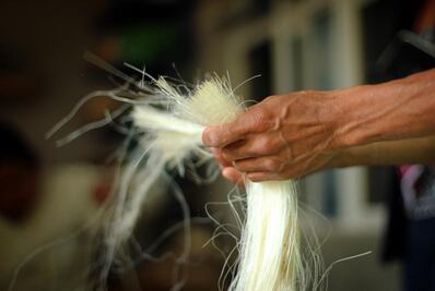 Ixtle, ideal para artesanías