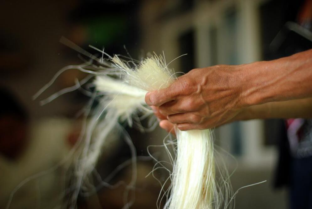 La familia Mendoza, originaria de la comunidad de Villa Progreso, en Ezequiel Montes, comenzó a trabajar el ixtle desde la generación de sus abuelos
