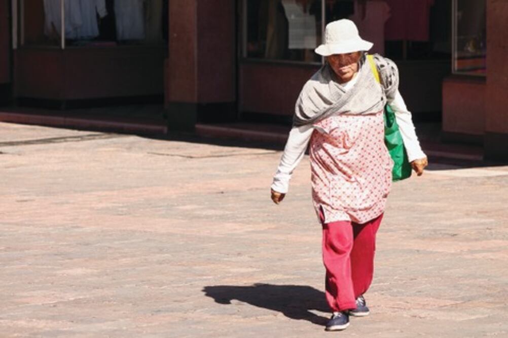 Desigualdad en apoyos para mujeres pobres 