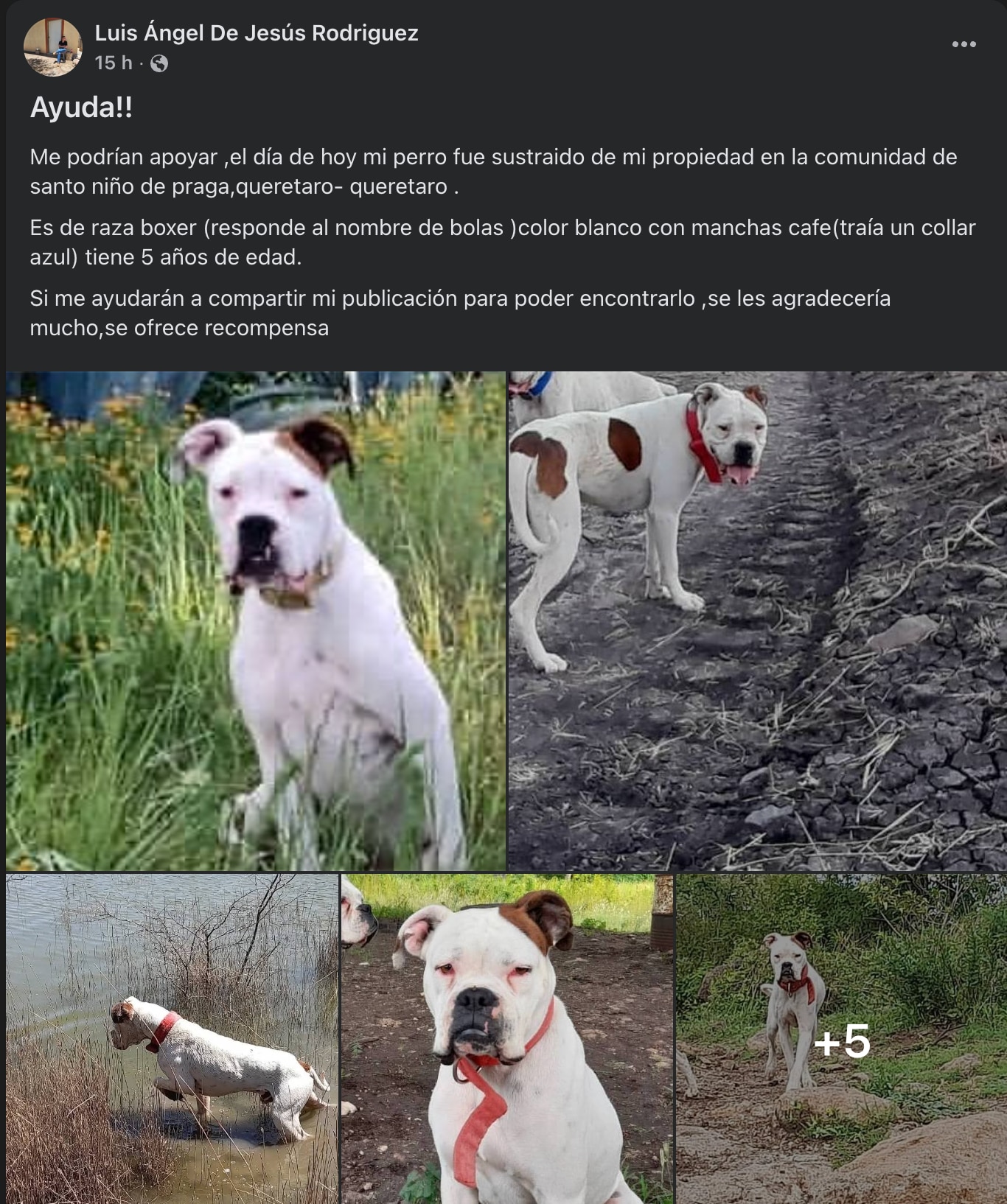 Foto: Captura de pantalla