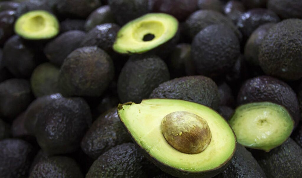 Aguacate desciende hasta 20 pesos en mercados nacionales