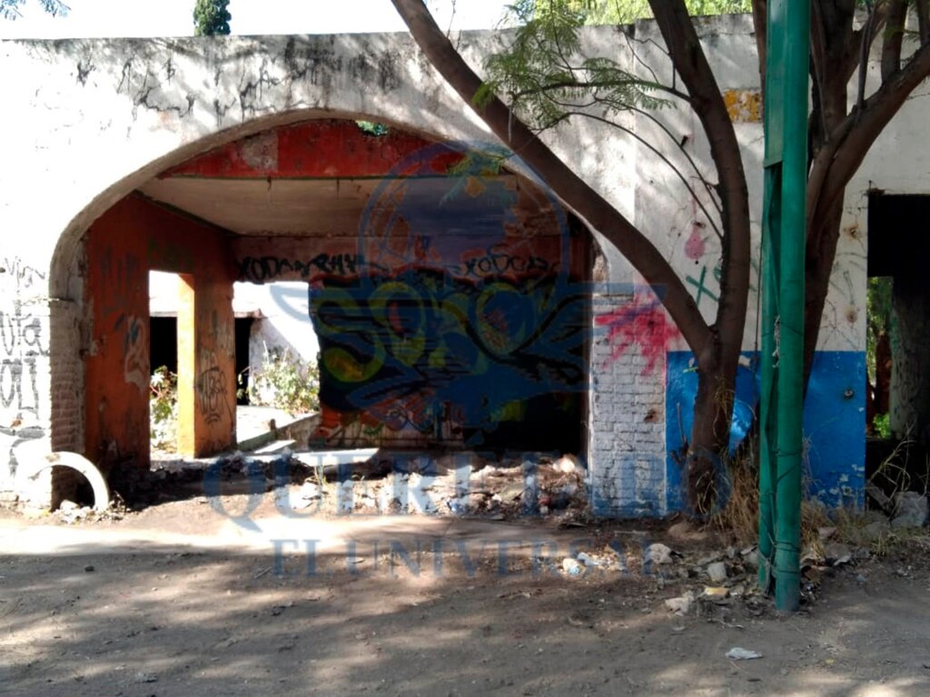 FOTO. VERÓNICA RUIZ