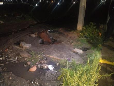 ¿Cómo terminó ahí? Caballo saca la cabeza de una coladera; lo rescatan en Querétaro