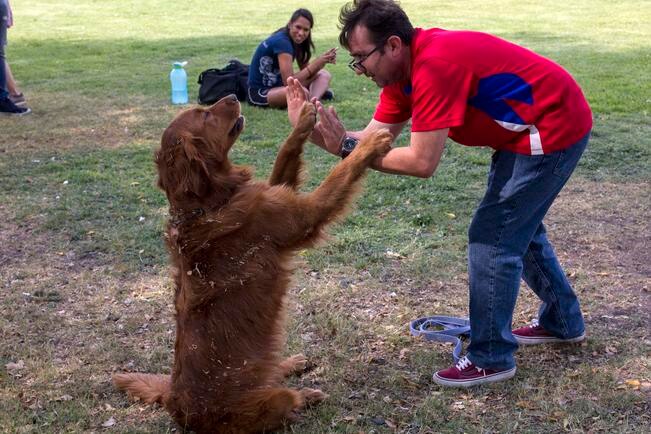 El mejor amigo. Desde terapeuta hasta rescatista