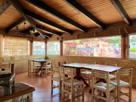Vendimia 2022. Un viaje por vino artesanal desde 500 pesos a Villa Progreso, el pueblito “italiano” de Querétaro