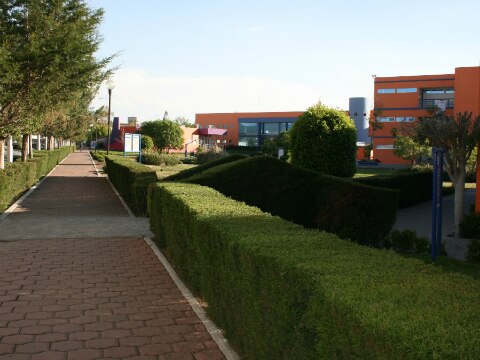 Convenio con la UVM