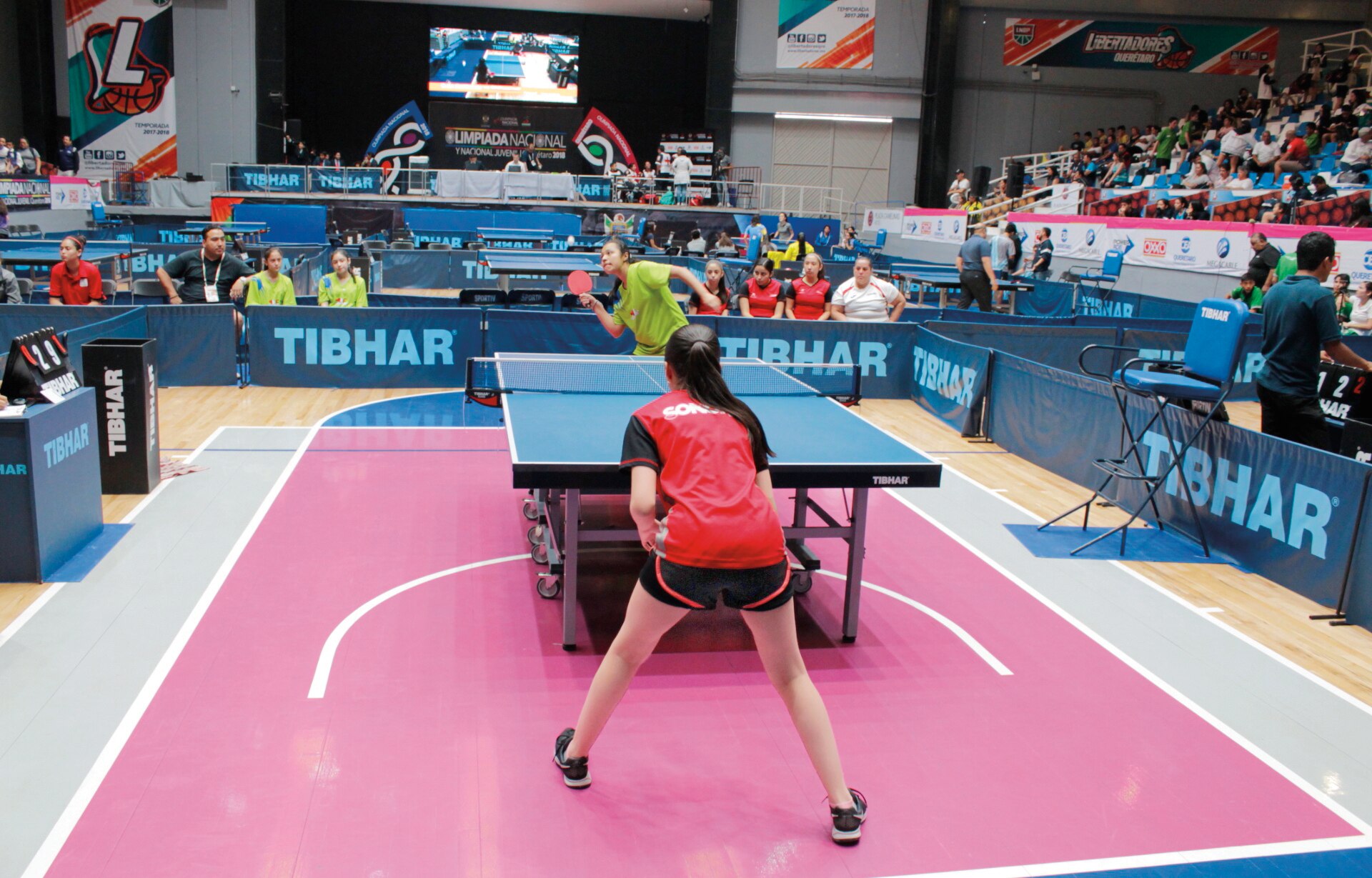 Poderoso arranque en el tennis de mesa