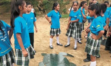 Pequeños héroes, buscan salvar a tortugas marinas