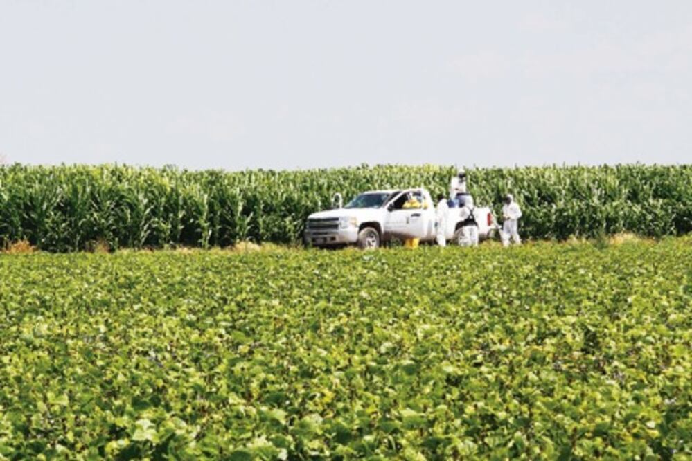 Darán plaguicidas a los  capitalinos