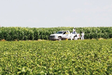 Darán plaguicidas a los capitalinos