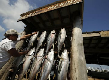 Reunión aborda el problema del cambio climático