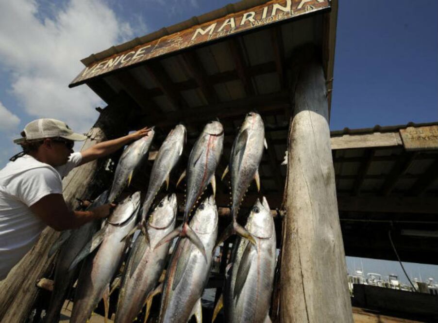 Reunión aborda el problema del cambio climático