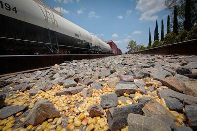 Avicultores sufren por asaltos a trenes