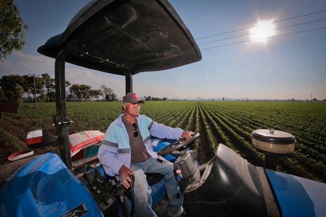Urge la Sedea a evitar ajuste a sectores agrícola y pecuario