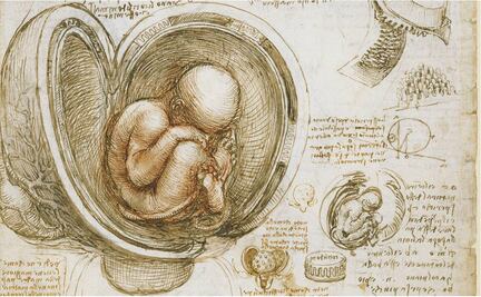 ¿Las vacunas contra Covid-19 están hechas con restos de fetos humanos?