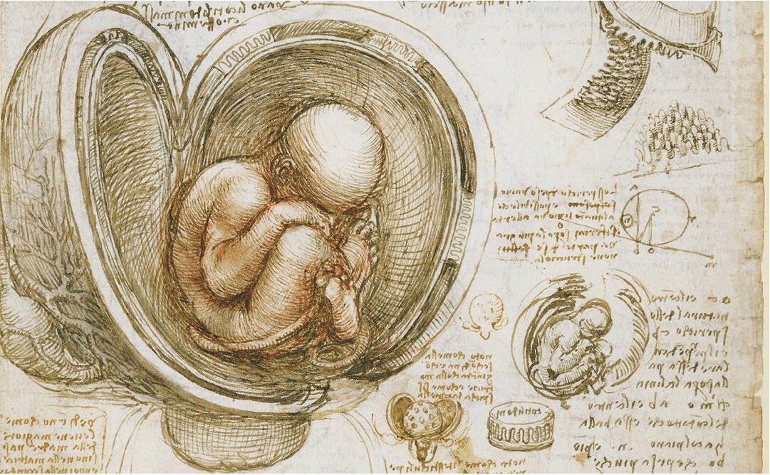 ¿Las vacunas contra Covid-19 están hechas con restos de fetos humanos?