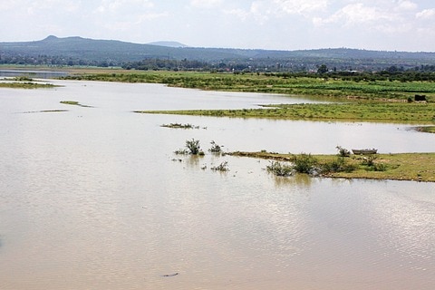 El río Jalpan en riesgo de desborde