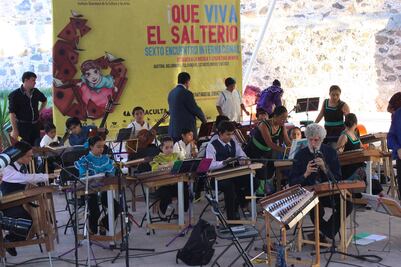 Festival de Salterio de Querétaro se abre al mundo 