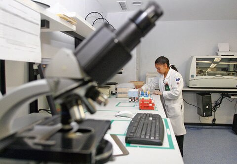 Cofece pone en la mira a servicios