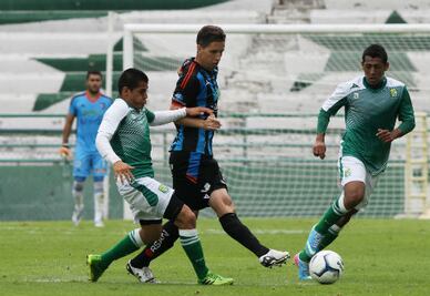 Sinodal tico para Gallos Blancos
