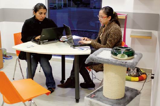 Crece sector de Tecnologías