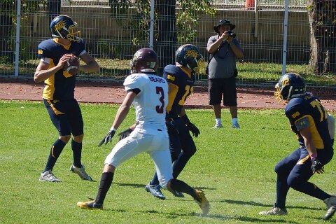 Gatos Salvajes es subcampeón 