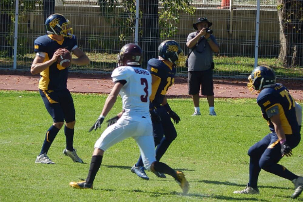 Gatos Salvajes es subcampeón