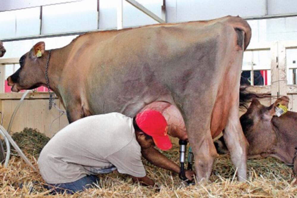 México es tercero en producir leche en AL