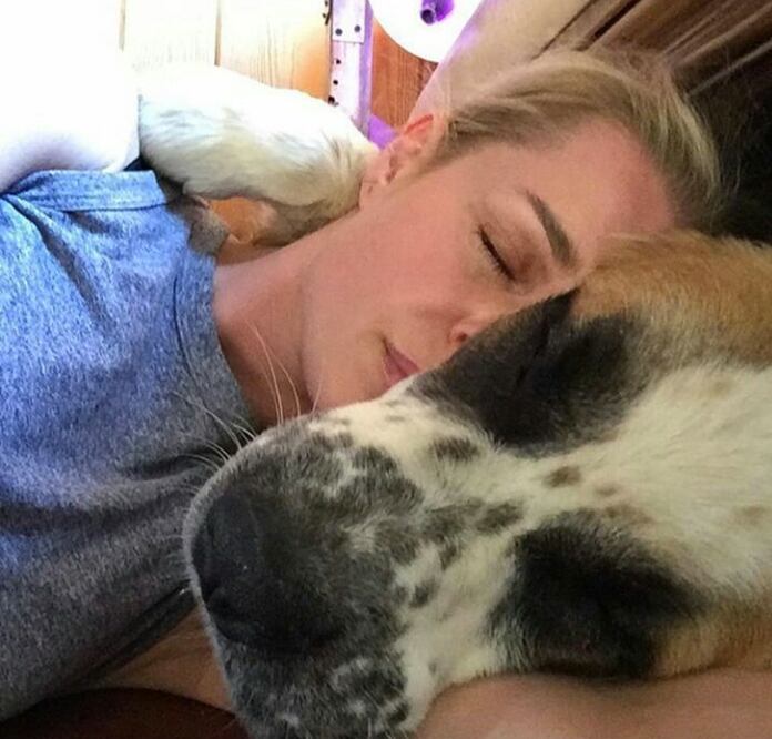 Rebeca Romjn tiene tres perros; uno tipo San Bernardo y dos Pastor Alemán