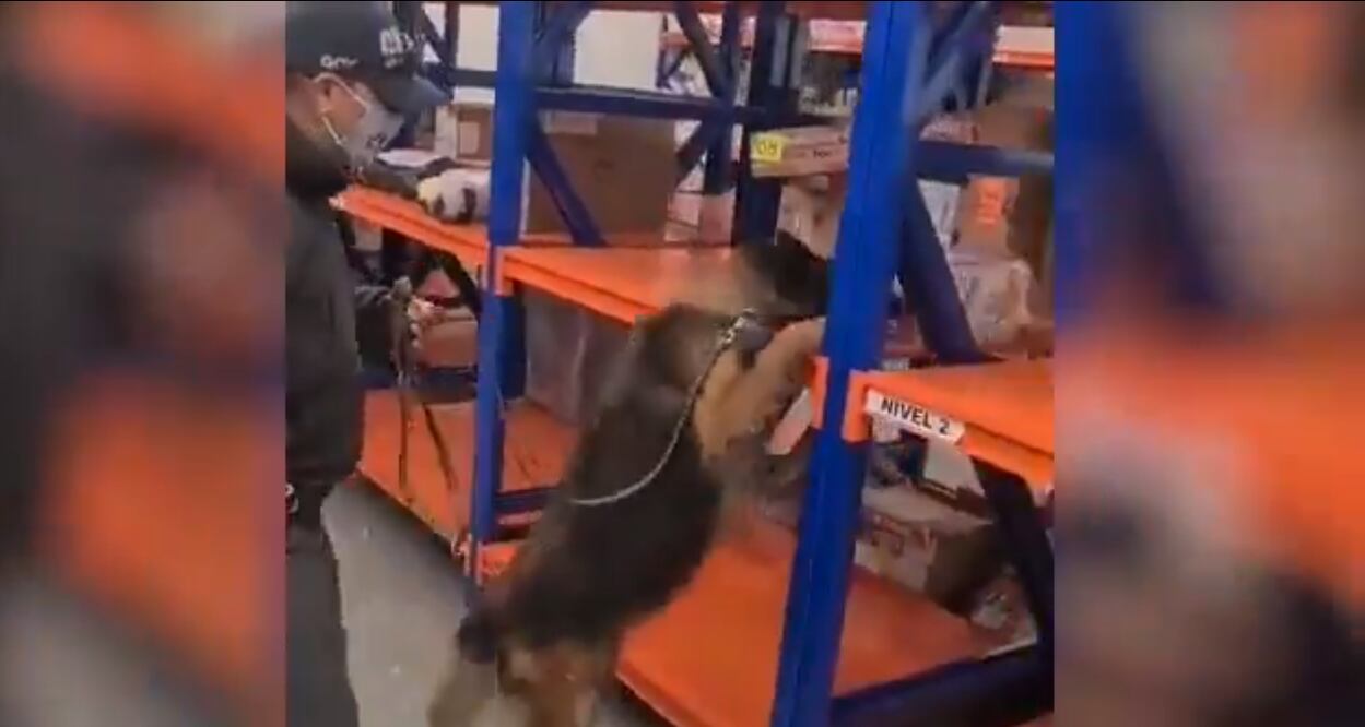 Foto: Captura de pantalla