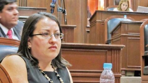 Diputada abrirá fuego contra políticos rivales