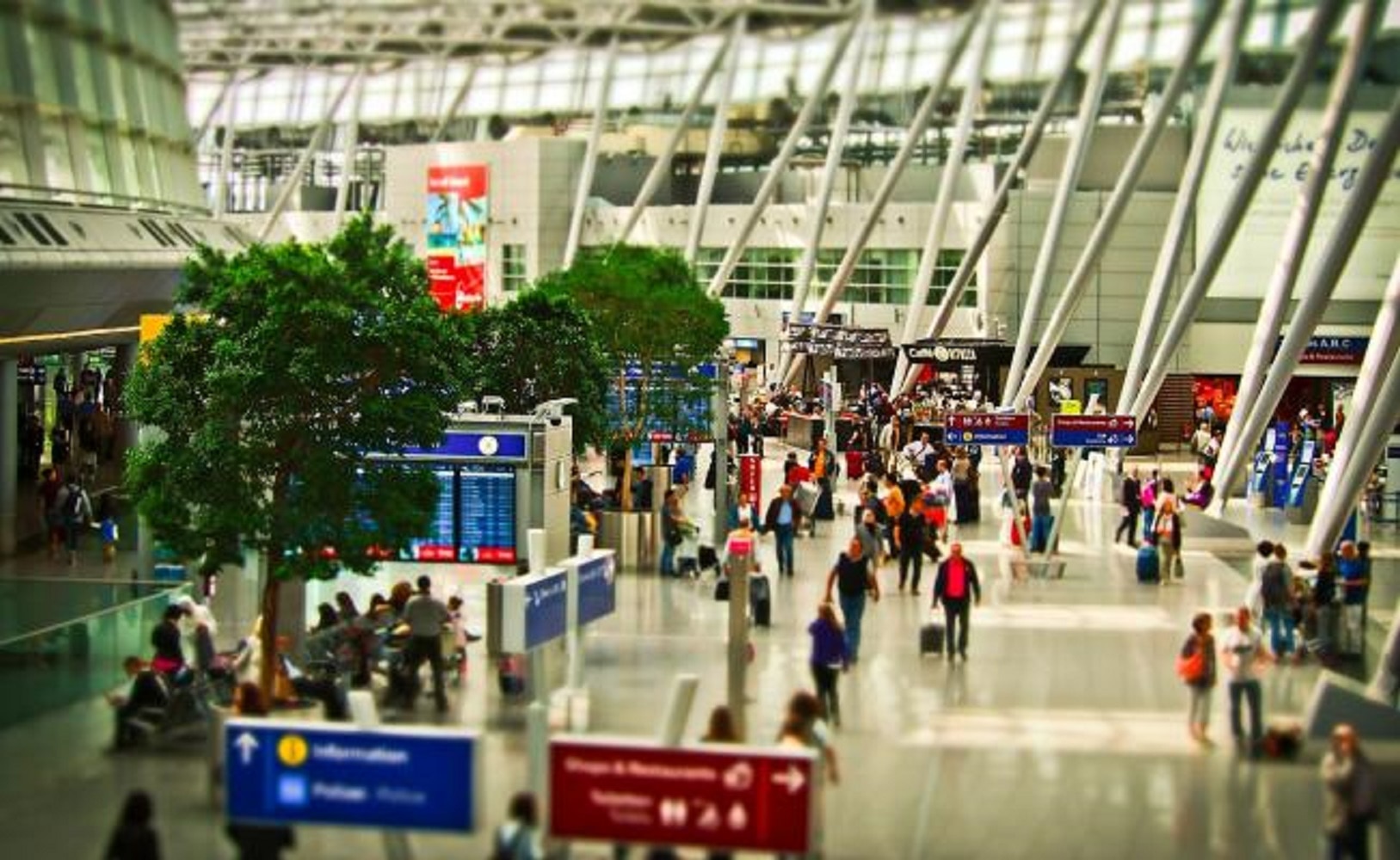 ¿Perdiste algún objeto en el aeropuerto de CDMX? Esto es lo que tienes que hacer